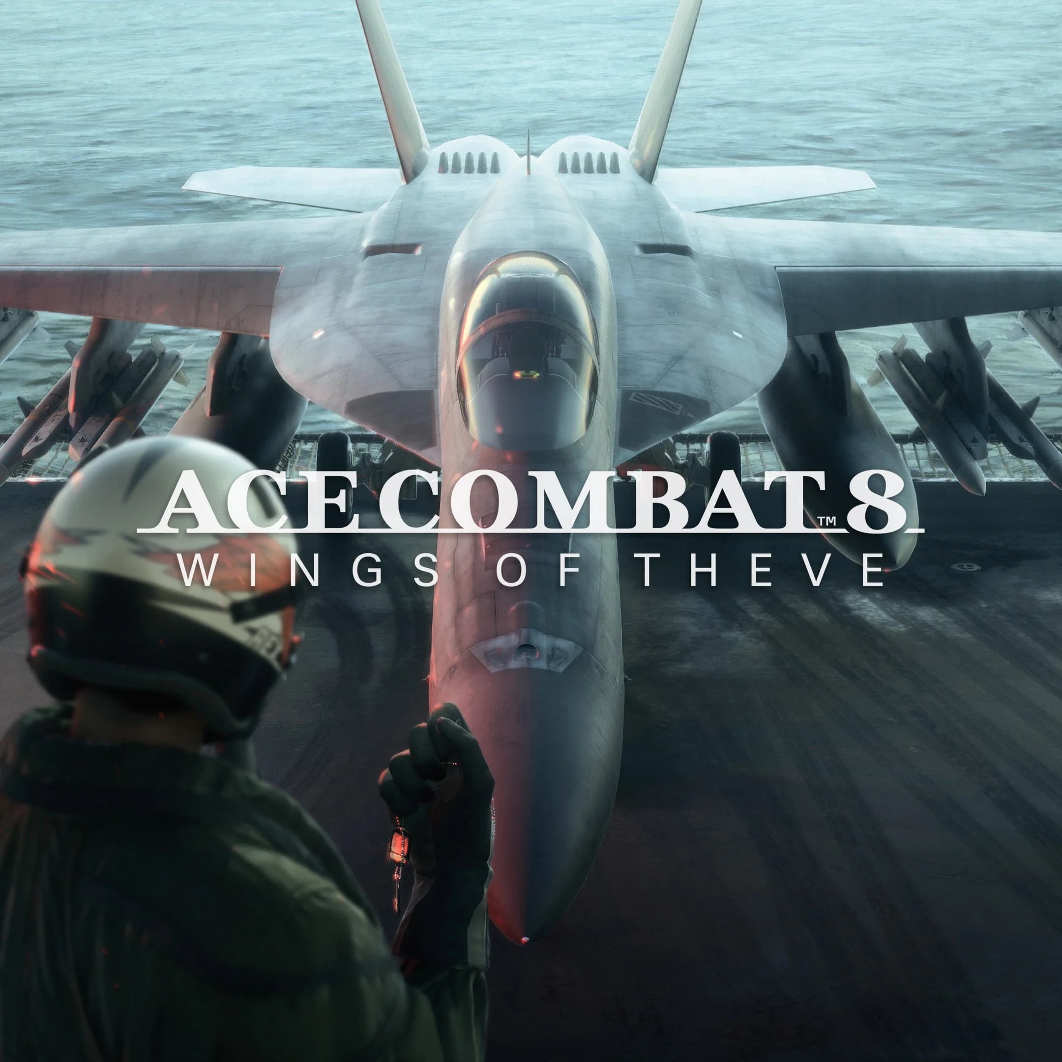 ACE COMBAT 8: WINGS OF THEVE Pre-Order